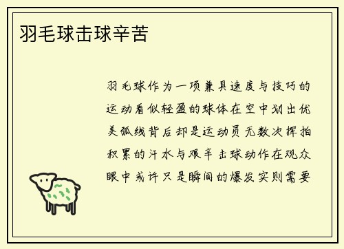 羽毛球击球辛苦